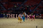 Quadrille - 00531